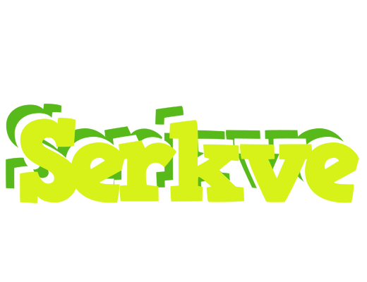 Serkve citrus logo