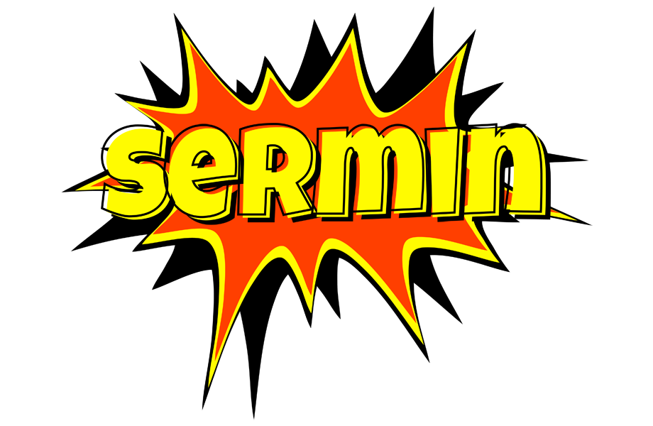Sermin bazinga logo