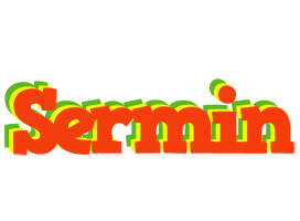 Sermin bbq logo