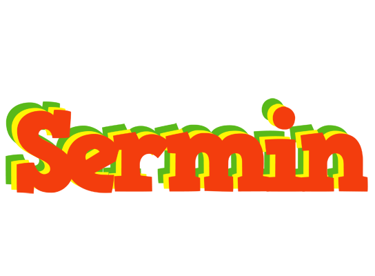 Sermin bbq logo