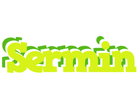 Sermin citrus logo