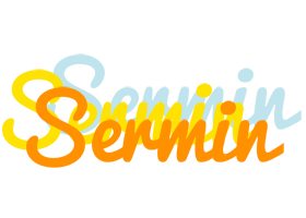 Sermin energy logo