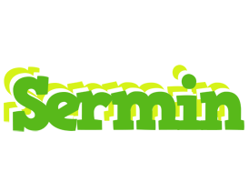 Sermin picnic logo