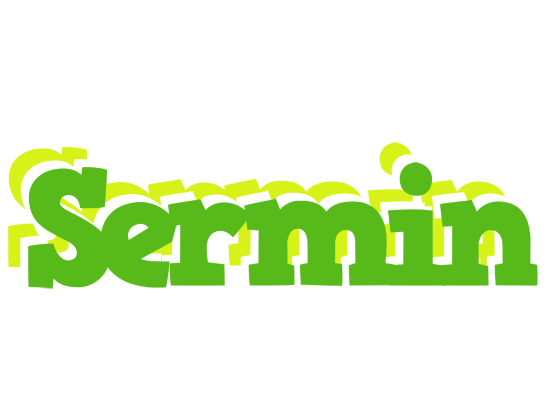 Sermin picnic logo
