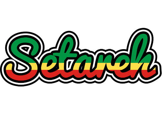 Setareh african logo