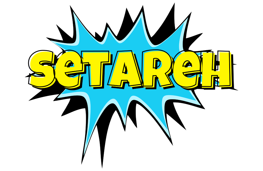 Setareh amazing logo