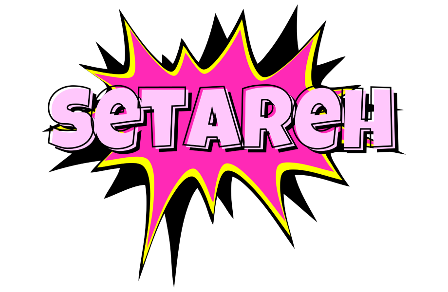 Setareh badabing logo