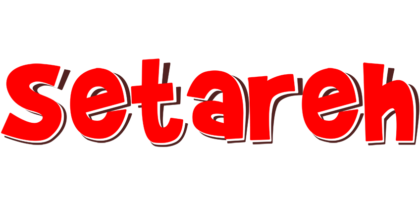 Setareh basket logo