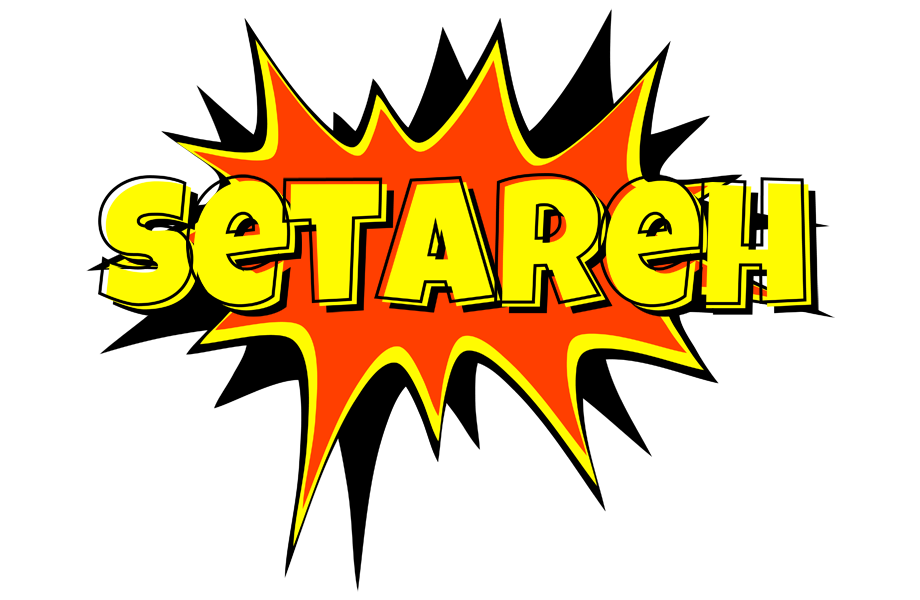 Setareh bazinga logo
