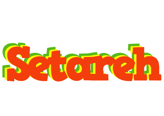 Setareh bbq logo