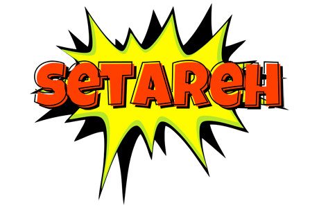 Setareh bigfoot logo