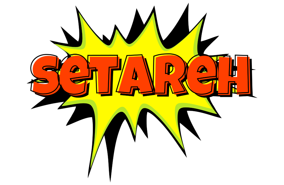 Setareh bigfoot logo