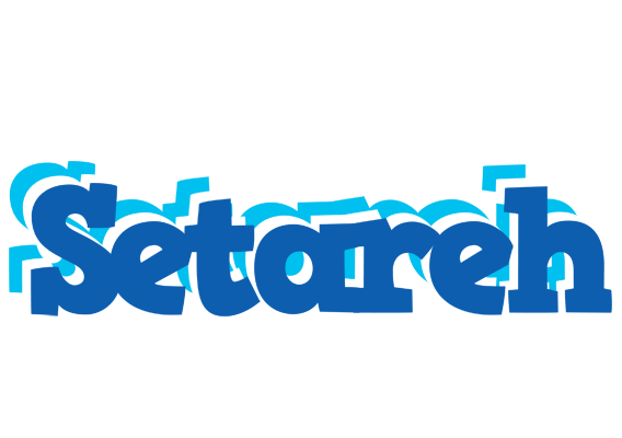 Setareh business logo
