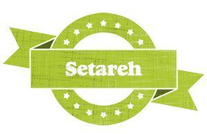 Setareh change logo