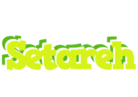 Setareh citrus logo