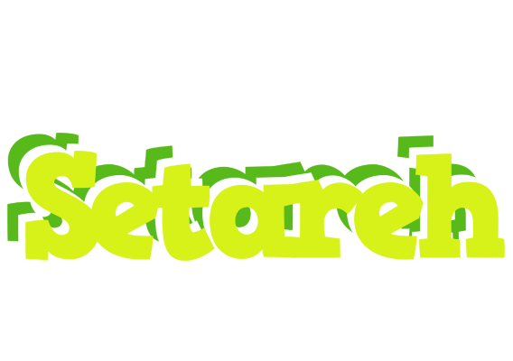 Setareh citrus logo