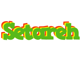 Setareh crocodile logo