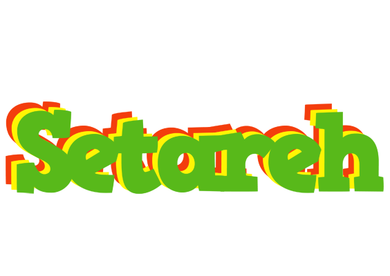 Setareh crocodile logo