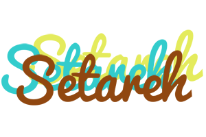 Setareh cupcake logo