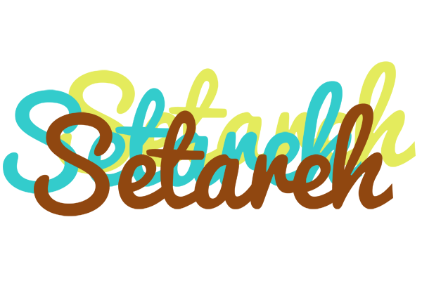 Setareh cupcake logo