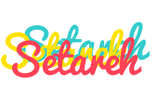Setareh disco logo