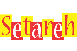 Setareh errors logo