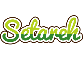 Setareh golfing logo