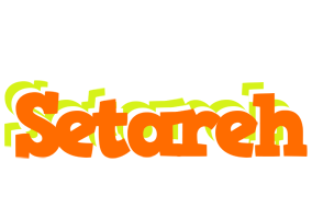 Setareh healthy logo