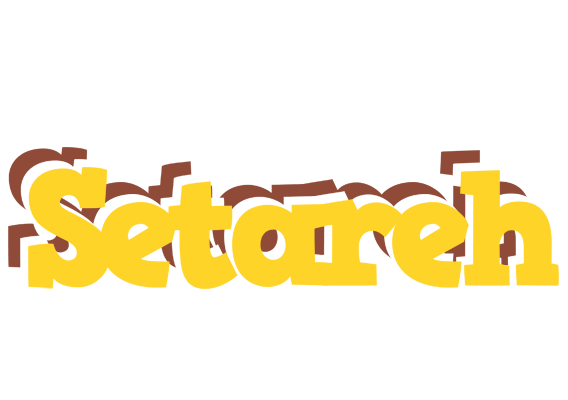 Setareh hotcup logo