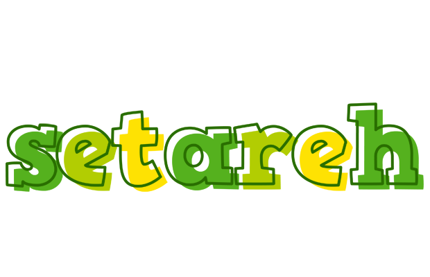 Setareh juice logo