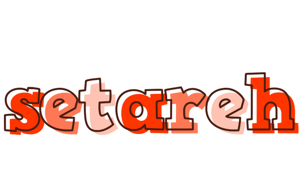 Setareh paint logo