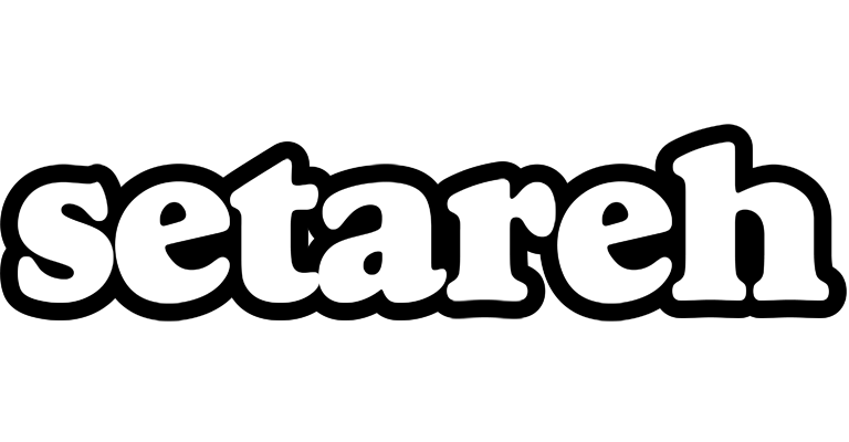 Setareh panda logo