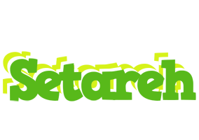 Setareh picnic logo