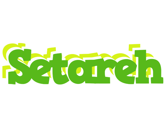 Setareh picnic logo