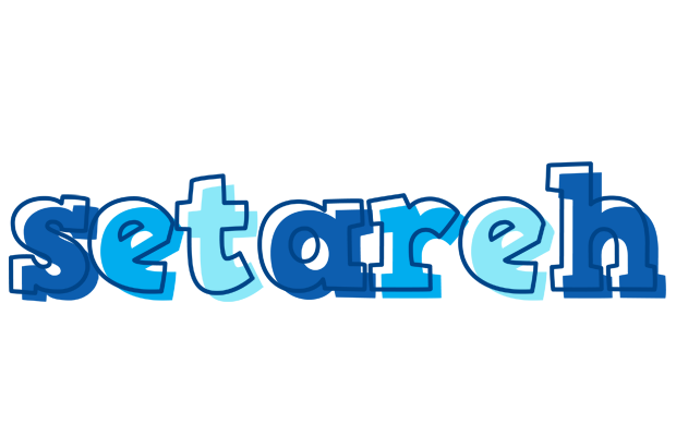Setareh sailor logo