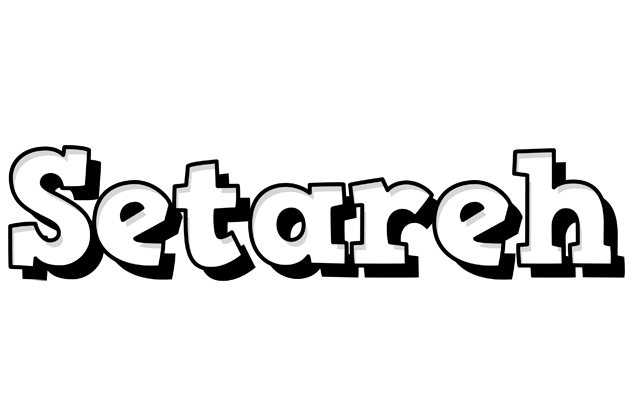 Setareh snowing logo