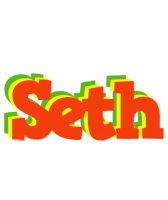 Seth bbq logo