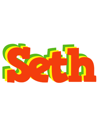 Seth bbq logo