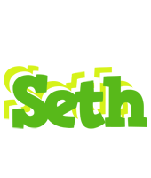 Seth picnic logo