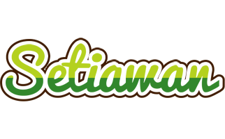 Setiawan golfing logo