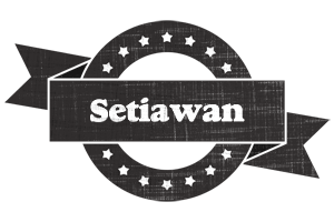 Setiawan grunge logo