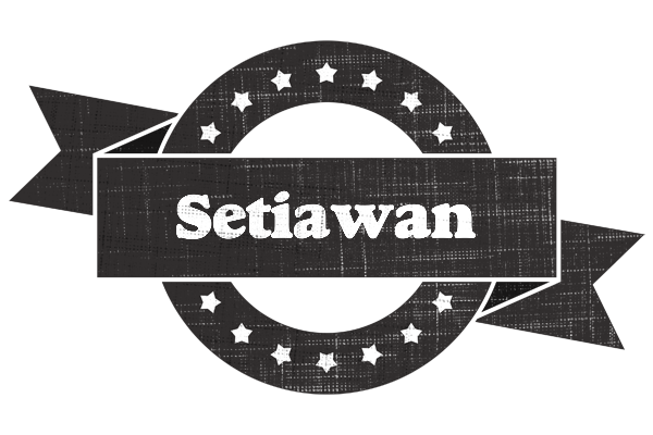 Setiawan grunge logo
