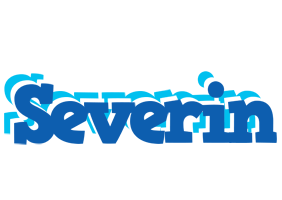 Severin business logo