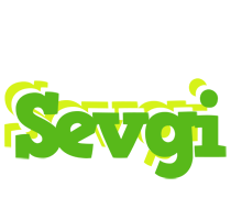 Sevgi picnic logo