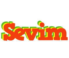 Sevim bbq logo