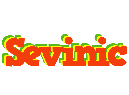 Sevinic bbq logo