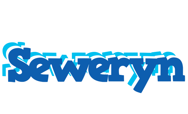 Seweryn business logo