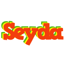 Seyda bbq logo