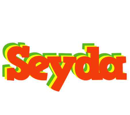 Seyda bbq logo