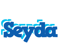 Seyda business logo